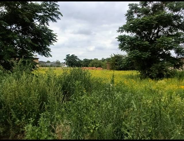 1,044M² VACANT LAND FOR SALE IN KOOKRUS